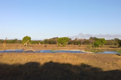 Bushlands Game Lodge watering hole